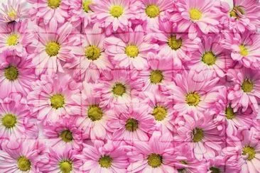 OK jigsaw puzzle
