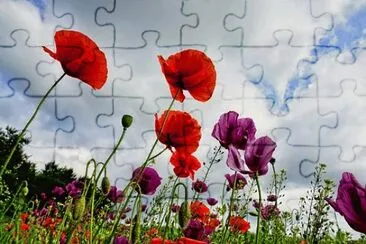OK jigsaw puzzle