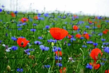 OK jigsaw puzzle