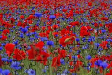 OK jigsaw puzzle