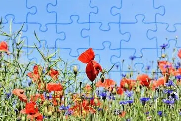 OK jigsaw puzzle
