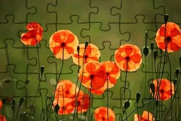 OK jigsaw puzzle