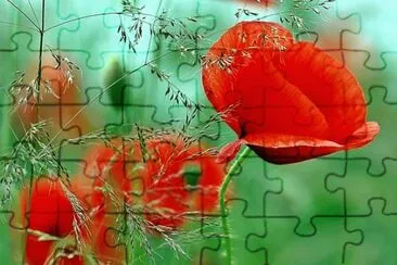 OK jigsaw puzzle
