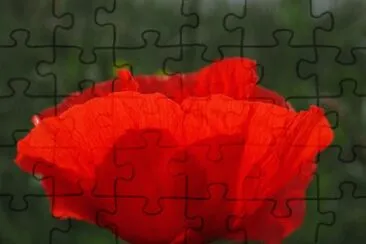 OK jigsaw puzzle