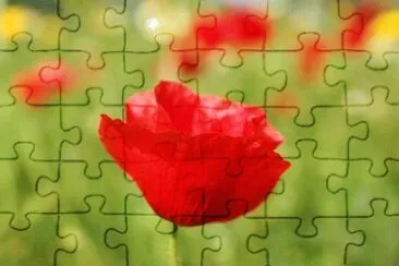 OK jigsaw puzzle
