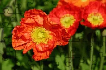 OK jigsaw puzzle