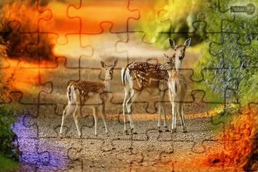 Animais jigsaw puzzle