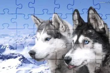 Animais jigsaw puzzle