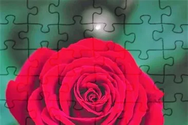flores jigsaw puzzle