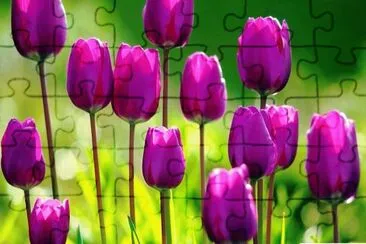 OK jigsaw puzzle