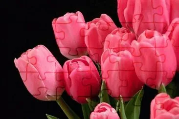 OK jigsaw puzzle