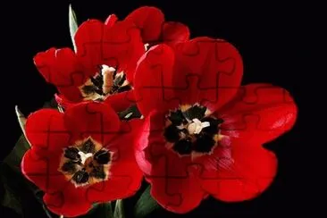 OK jigsaw puzzle