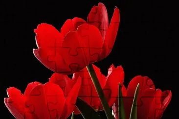 OK jigsaw puzzle