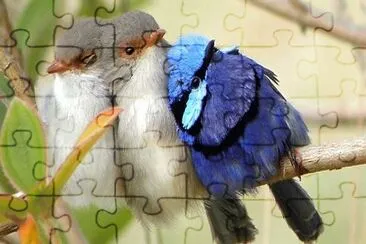natural jigsaw puzzle