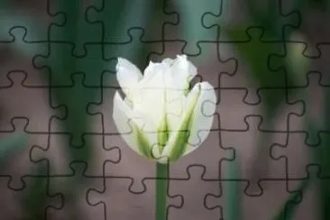 OK jigsaw puzzle
