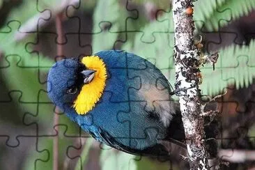 natural jigsaw puzzle