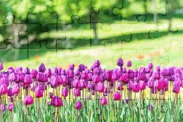 OK jigsaw puzzle