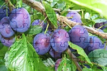 imagem jigsaw puzzle