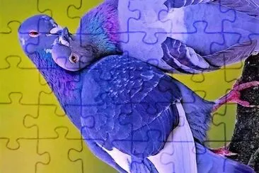 natural jigsaw puzzle