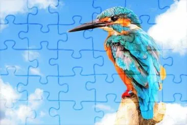 natural jigsaw puzzle
