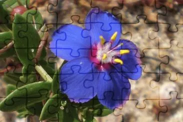 OK jigsaw puzzle