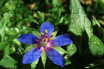 OK jigsaw puzzle