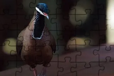 Imagem jigsaw puzzle