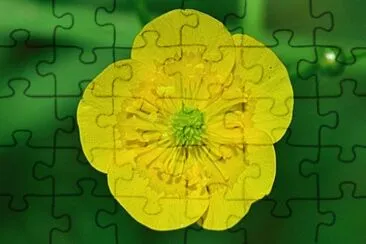 Imagem jigsaw puzzle