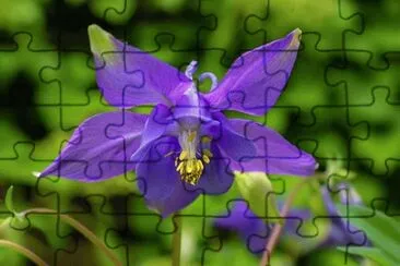 OK jigsaw puzzle
