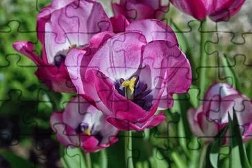 OK jigsaw puzzle