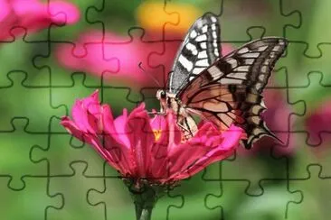 OK jigsaw puzzle