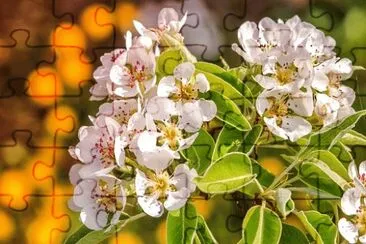 OK jigsaw puzzle