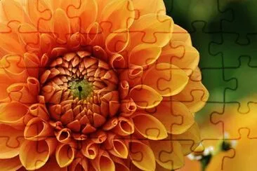 OK jigsaw puzzle