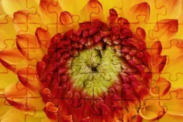 OK jigsaw puzzle