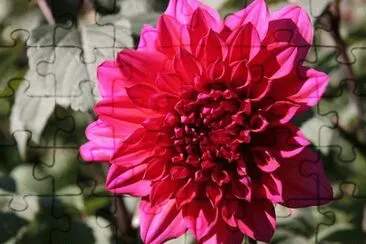 OK jigsaw puzzle