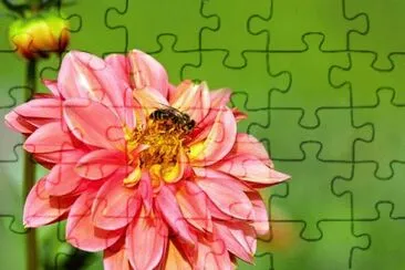OK jigsaw puzzle
