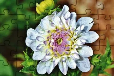 OK jigsaw puzzle