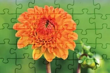 OK jigsaw puzzle