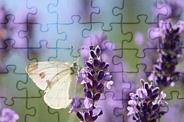 OK jigsaw puzzle