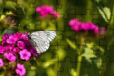 OK jigsaw puzzle