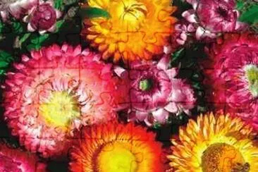 OK jigsaw puzzle