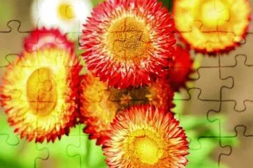 OK jigsaw puzzle