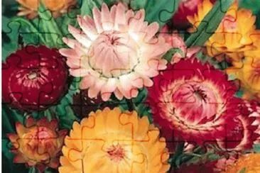 OK jigsaw puzzle