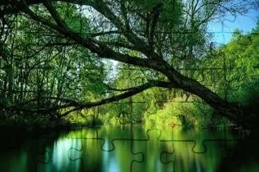 Imagem jigsaw puzzle