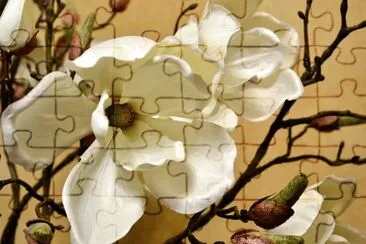 OK jigsaw puzzle