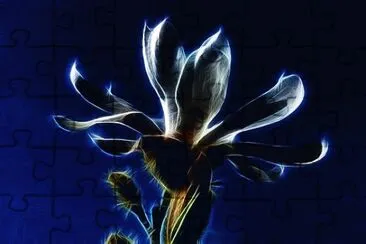 OK jigsaw puzzle