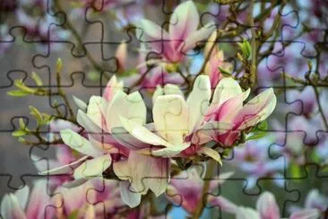 OK jigsaw puzzle