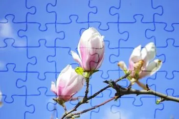 OK jigsaw puzzle