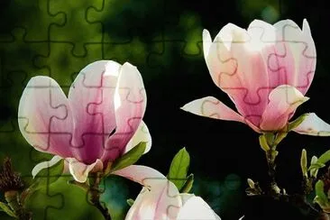 OK jigsaw puzzle