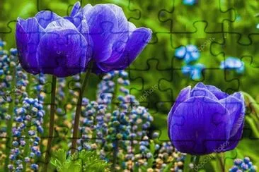 OK jigsaw puzzle